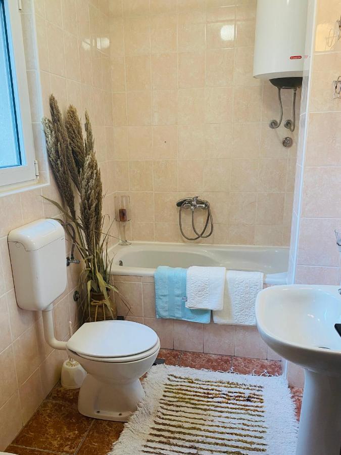 Miomir Perazic Apartments Petrovac エクステリア 写真