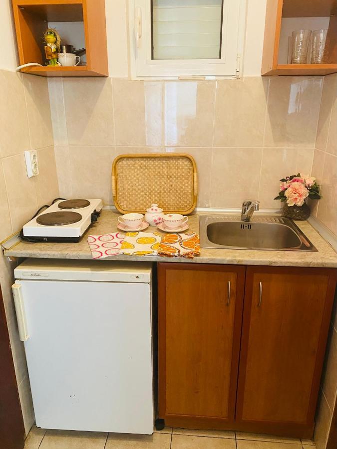 Miomir Perazic Apartments Petrovac エクステリア 写真