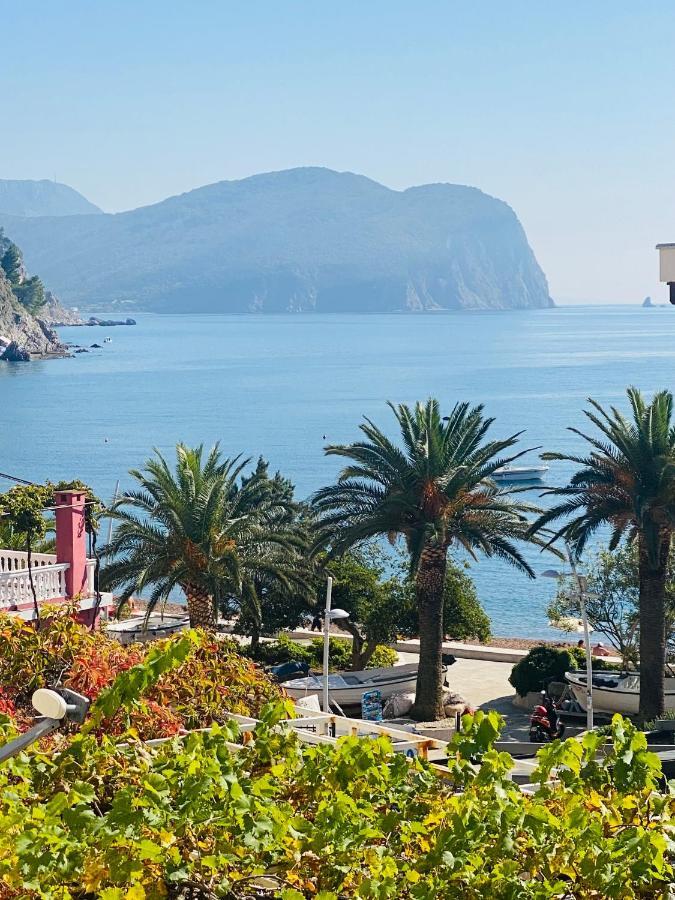 Miomir Perazic Apartments Petrovac エクステリア 写真